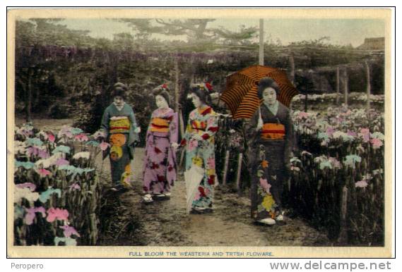 JAPAN JAPON   GEISHA   Old Postcard - Other & Unclassified