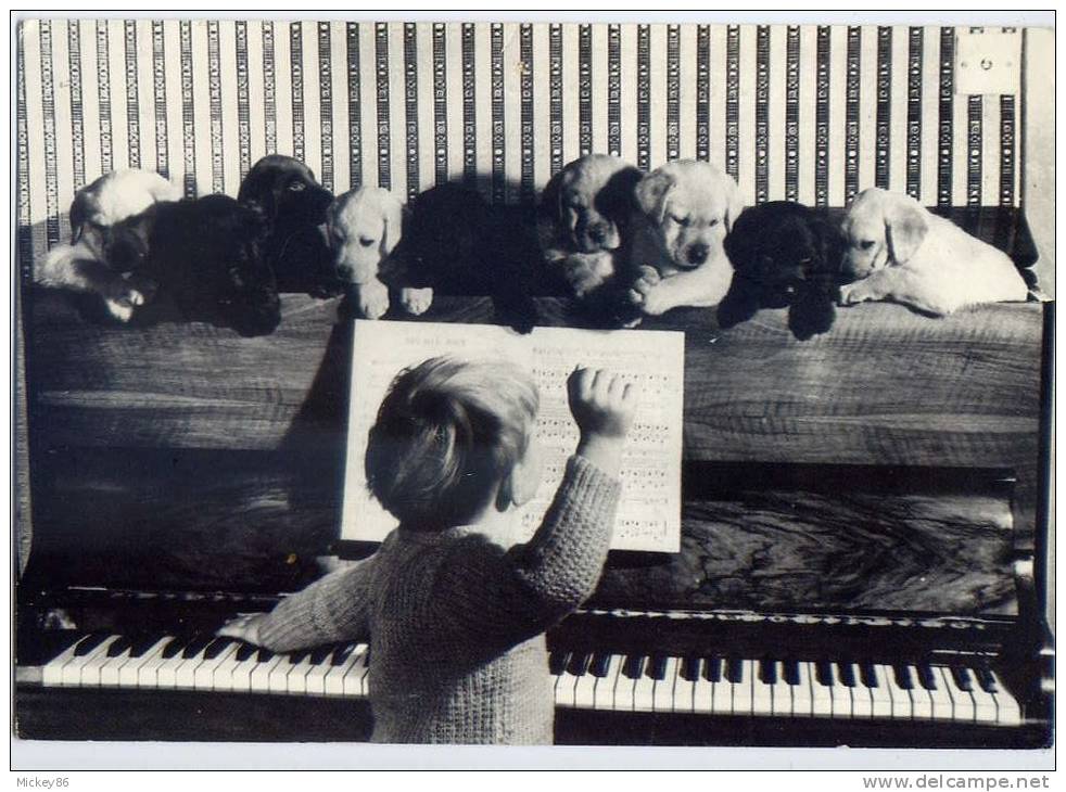 VOLLER  ERNST---1989---Jeune Pianiste (enfant)  Et Huit Jeunes Chiens (chiots)----belle Carte - Autres & Non Classés