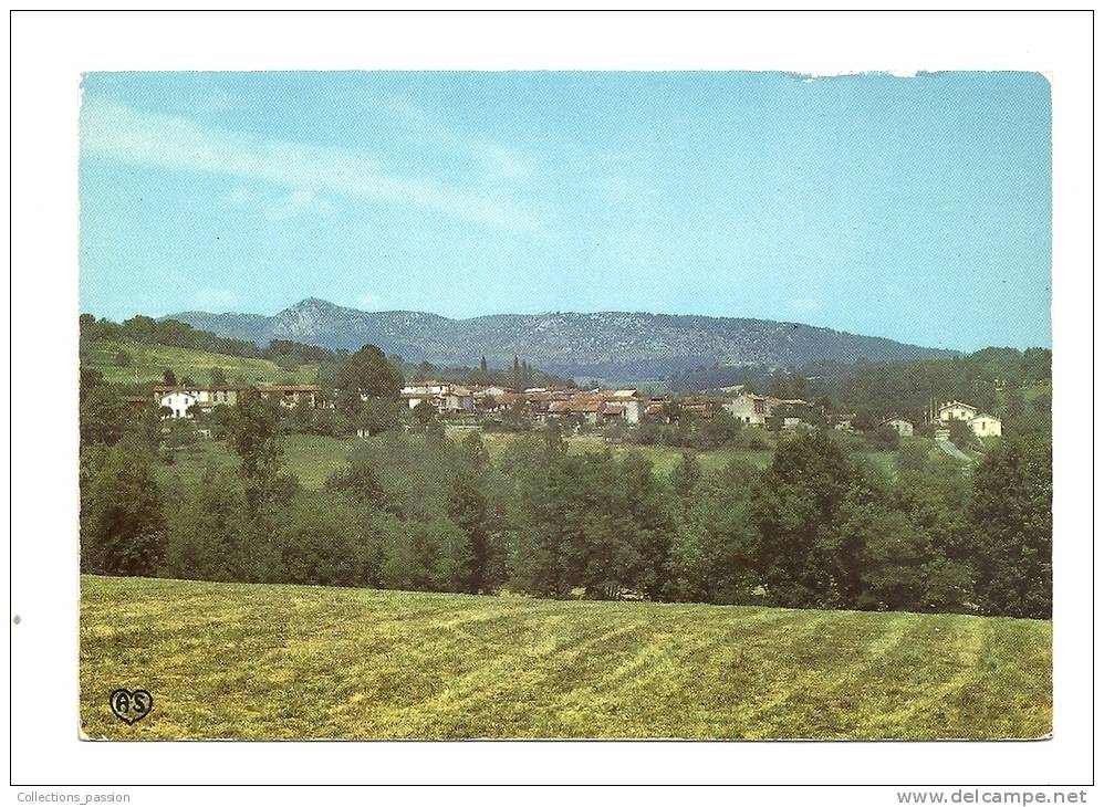 Cp, 09, St-Pierre-de-Rivière, Vue Générale De St-Pierre-de-Dessus, Voyagée 1977 - Autres & Non Classés