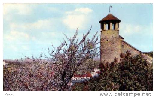 38  CREMIEU Tour St Hippolyte - Diémoz