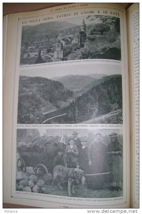 PES/3 Cogliati ENC. DEI RAGAZZI vol.III Mondadori 1926/PONTE A TREZZO/PENNE STILOGRAFICHE/UCCELLI/ESOPO/PETER PAN