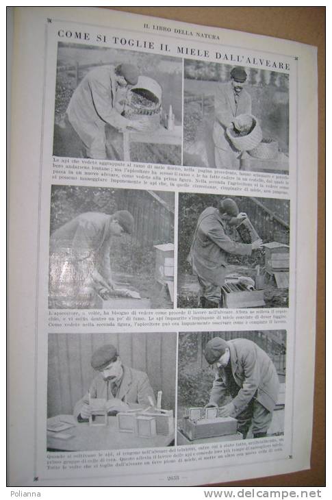 PES/4 Cogliati ENC. DEI RAGAZZI Vol.IV Mondadori 1926/IMPERO RUSSO/BATTELLI A VAPORE/BAMBOLE/GARIBALDI/HANSEL E GRETHEL - Antiguos