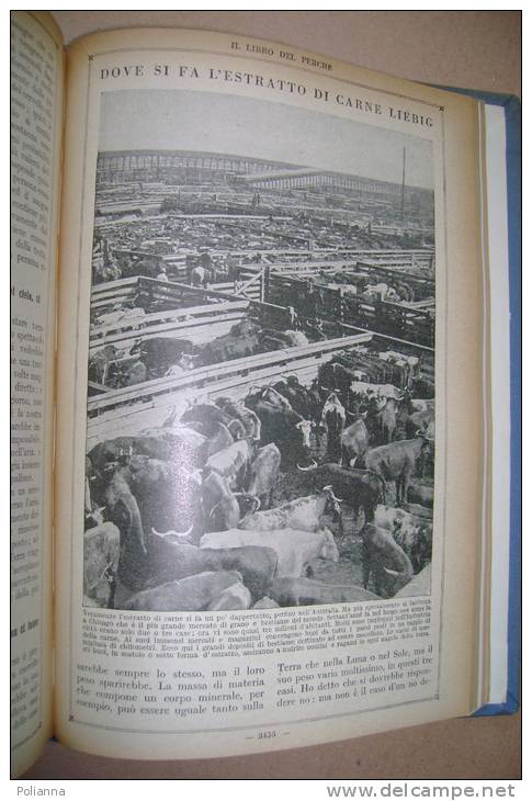 PES/4 Cogliati ENC. DEI RAGAZZI vol.IV Mondadori 1926/IMPERO RUSSO/BATTELLI A VAPORE/BAMBOLE/GARIBALDI/HANSEL E GRETHEL