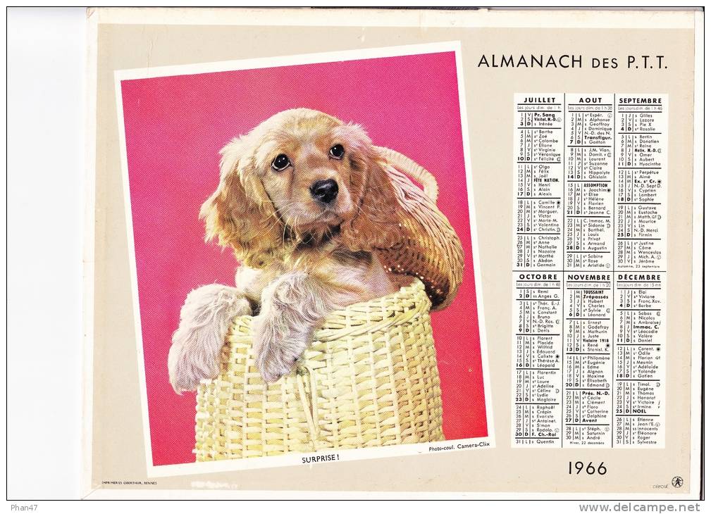 Almanach Des PTT 1966 "pose / Surprise !" Chaton, Chien Cocker, Panier  OBERTHUR - Grand Format : 1961-70