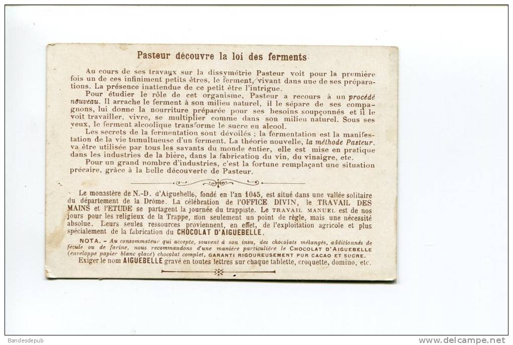 AIGUEBELLE Chromo Savant Pasteur Texte Au Dos En Très Bel état - Aiguebelle