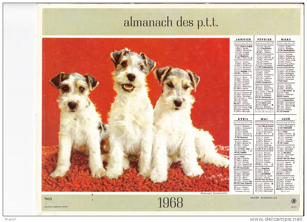 Almanach Des PTT 1968 "trio / Surprise" Chiens Fox Terrier, Chatons, Cor D'harmonie OBERTHUR - Big : 1961-70