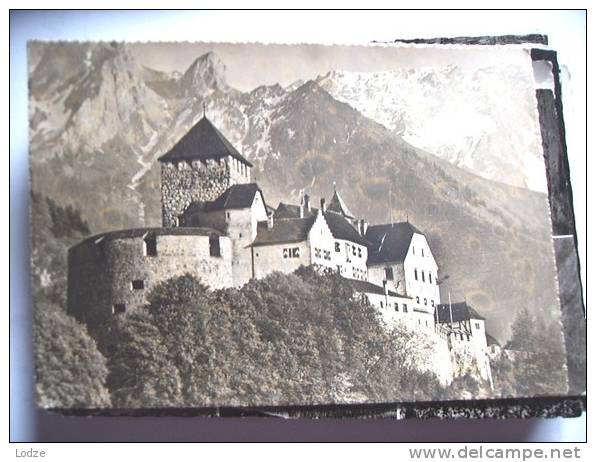 Liechtenstein Vaduz Panorama Schloss - Liechtenstein