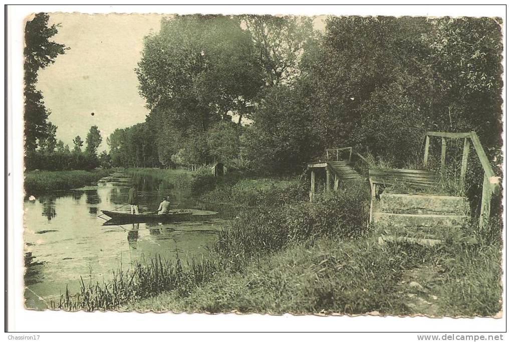 79 - Le Marais Poitevin  -  ARCAIS  - Le Vieux Bief  -   Touristes En Promenade En Barque - Autres & Non Classés