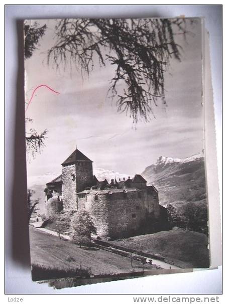 Liechtenstein Vaduz Schloss Und Baum - Liechtenstein