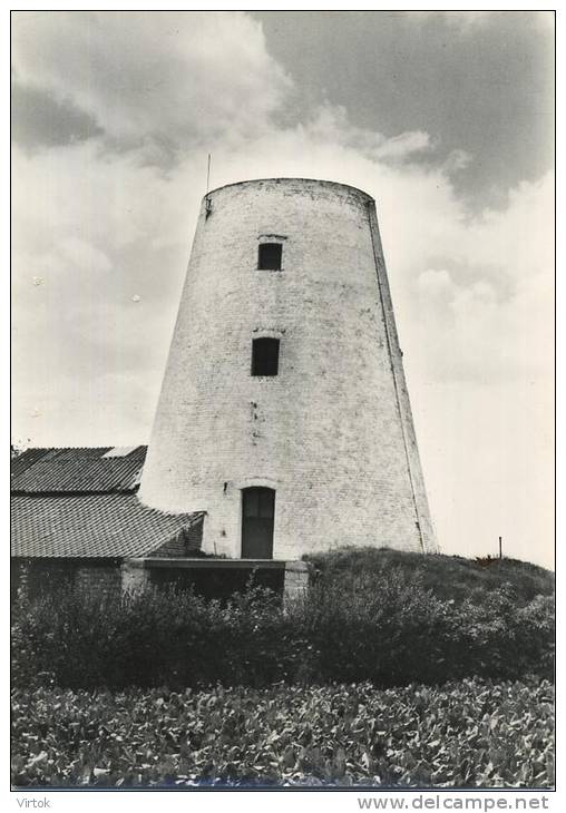 Peisegem - Merchtem :  Koutermolen  ( Groot Formaat )    Windmolen - Merchtem