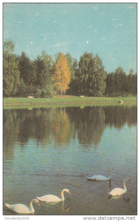 ZS32682 The Botanical Gardens Of The Byelorussian Academy Of Science Cygne S Not Used Perfect Shape Back Scan At Request - Belarus