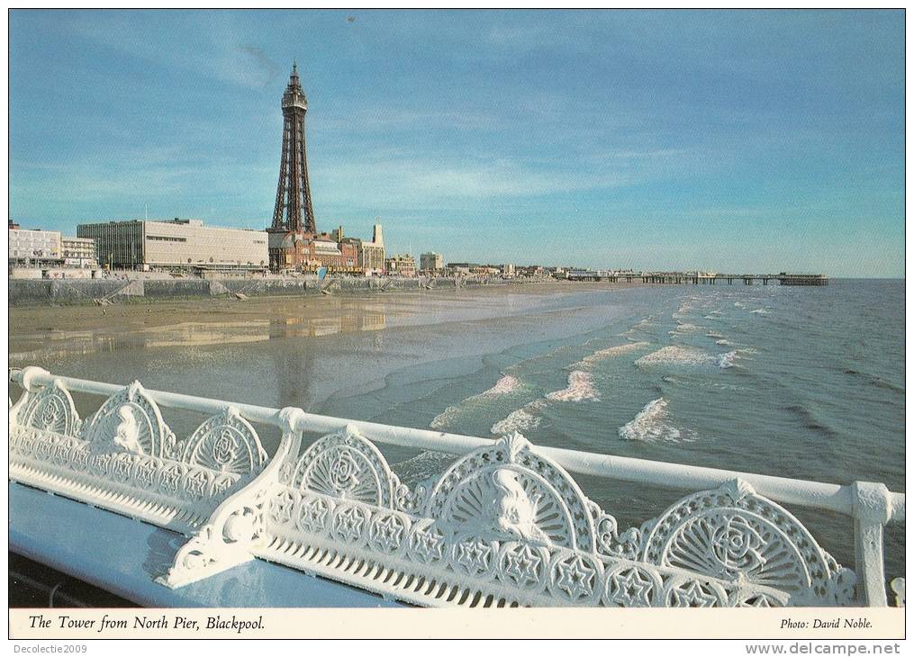 ZS31651 Great Britain Blackpool The Tower From North Pier Not Used Perfect Shape Back Scan At Request - Blackpool