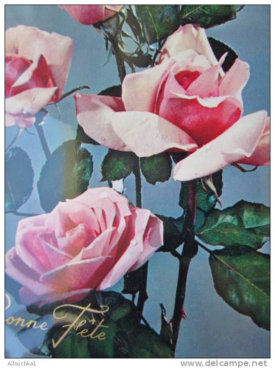 CPA Bonne Fête Des Mères Fête Voeux:de Superbes Roses De Abidjan Le 24/04/1969 - Fête Des Mères