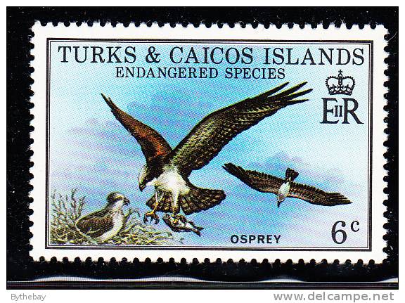 Turks & Caicos MNH Scott #380 6c Osprey - Endangered Species - Turks & Caicos (I. Turques Et Caïques)