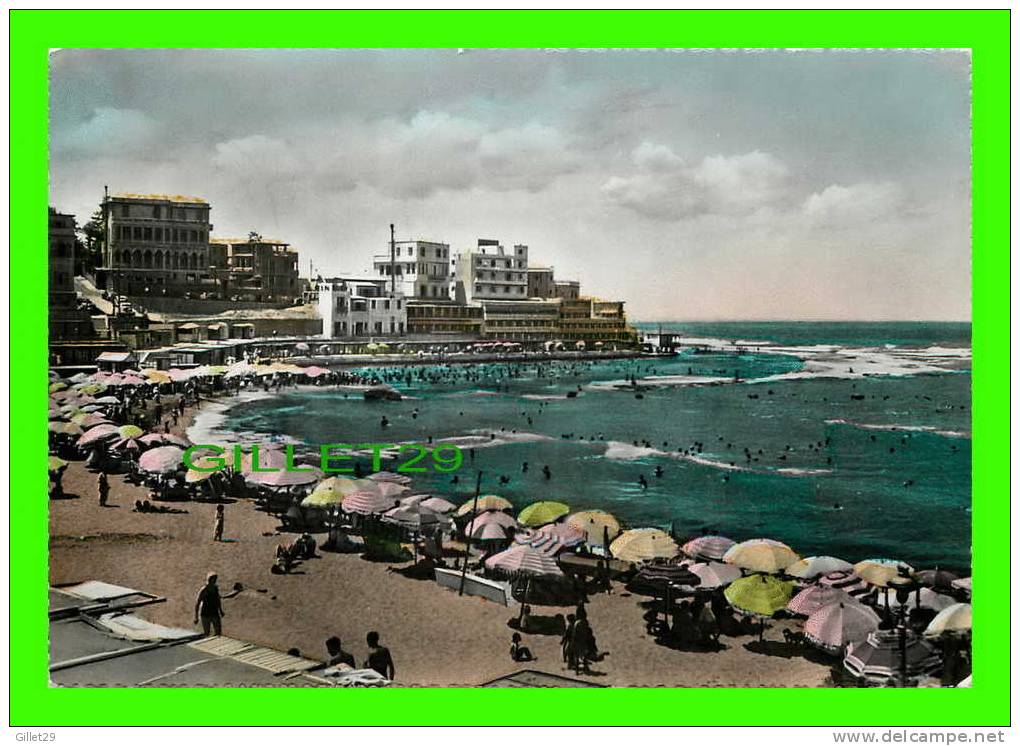ALEXANDRIA, ÉGYPTE - STANLEY BAY BEACH - CIRCULÉE  - - Alexandria