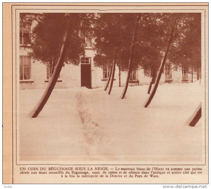 Termonde / Dendermonde Prachtige Foto's En Onderdeel Tijdschrift:  Le Patriote -  Winter 1929 - Dendermonde