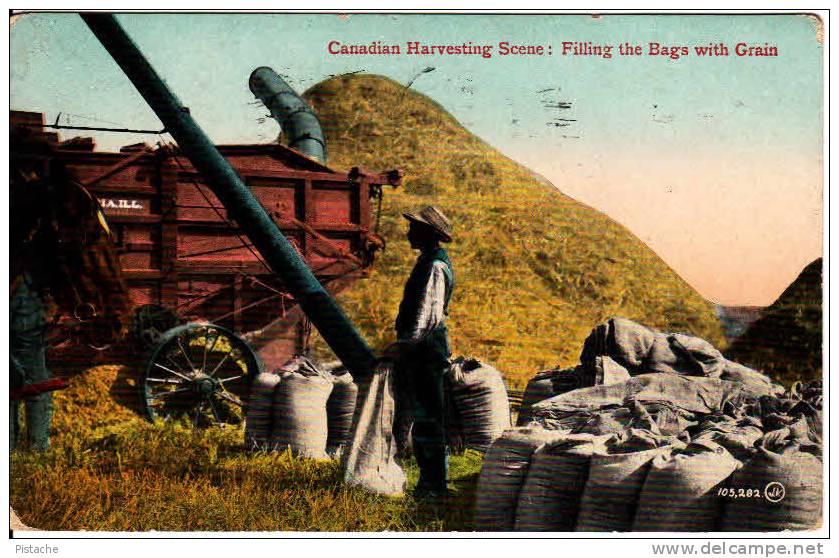 CPA - Canada - Agriculture - Harvesting - Grain - Horse - 1911 - Travelled To Robinson Bury P.Q. - 2 Scans - Autres & Non Classés