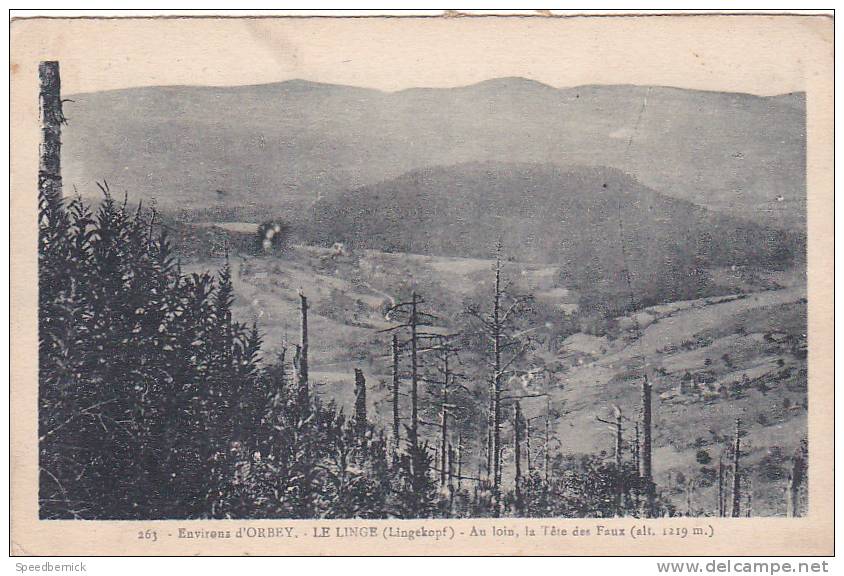 20690 LE LINGE (LINGEKOPF)---ENVIRONS D´ORBEY-AU LOIN,LA TETE DES FAUx -263 Scandella - Autres & Non Classés