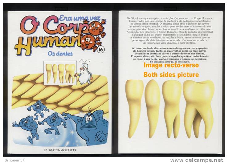 BD Livre Book Livro Era Uma Vez O Corpo Humano N° 16 Il était Une Fois Os Dentes Les Dents - Fumetti & Mangas (altri Lingue)