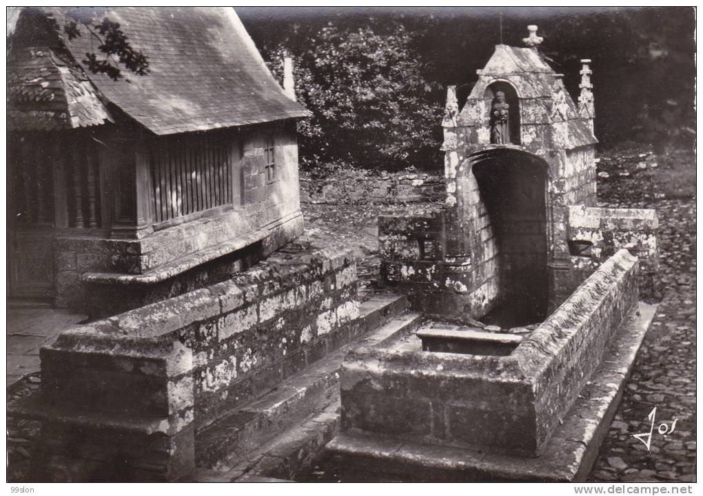 29 - DAOULAS - La Fontaine Sacrée - Daoulas