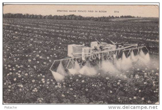 Agriculture - Spraying Maine Potatoes - Pesticide - Pommes De Terre - Good Condition - Cultures