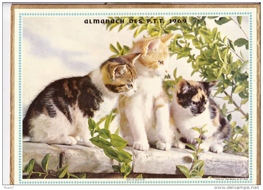 Almanach Des PTT 1969  "sur Le Qui-vive / Méditation" Chatons, Petite, Fille, Chien, OLLER - Grand Format : 1961-70