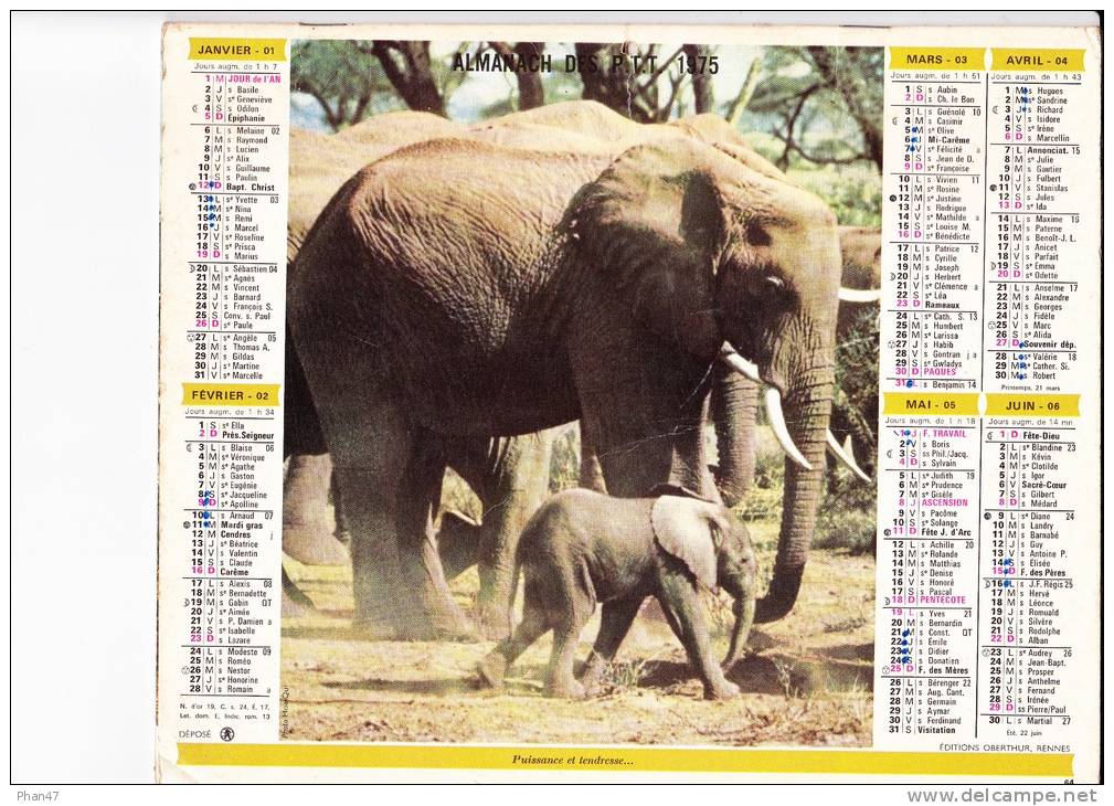 Almanach Des PTT 1975  "éléphants / Zèbres" éléphanteau OBERTHUR - Big : 1971-80