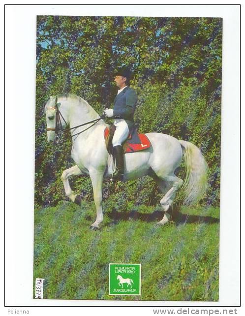 PO3779# SLOVENIA - LIPICA - HORSE - PIAFFE - SCUOLA EQUITAZIONE - CAVALLO   No VG - Slovenia