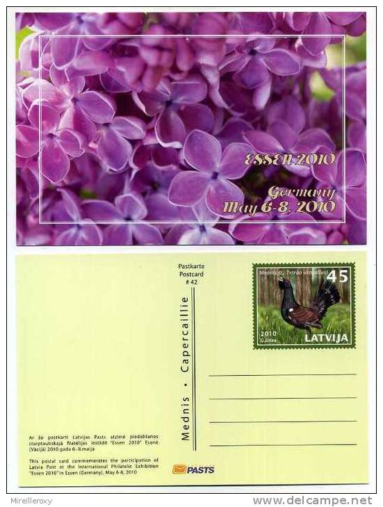 ENTIER POSTAL LETTONIE  OISEAU TETRAS FLEUR - Hühnervögel & Fasanen