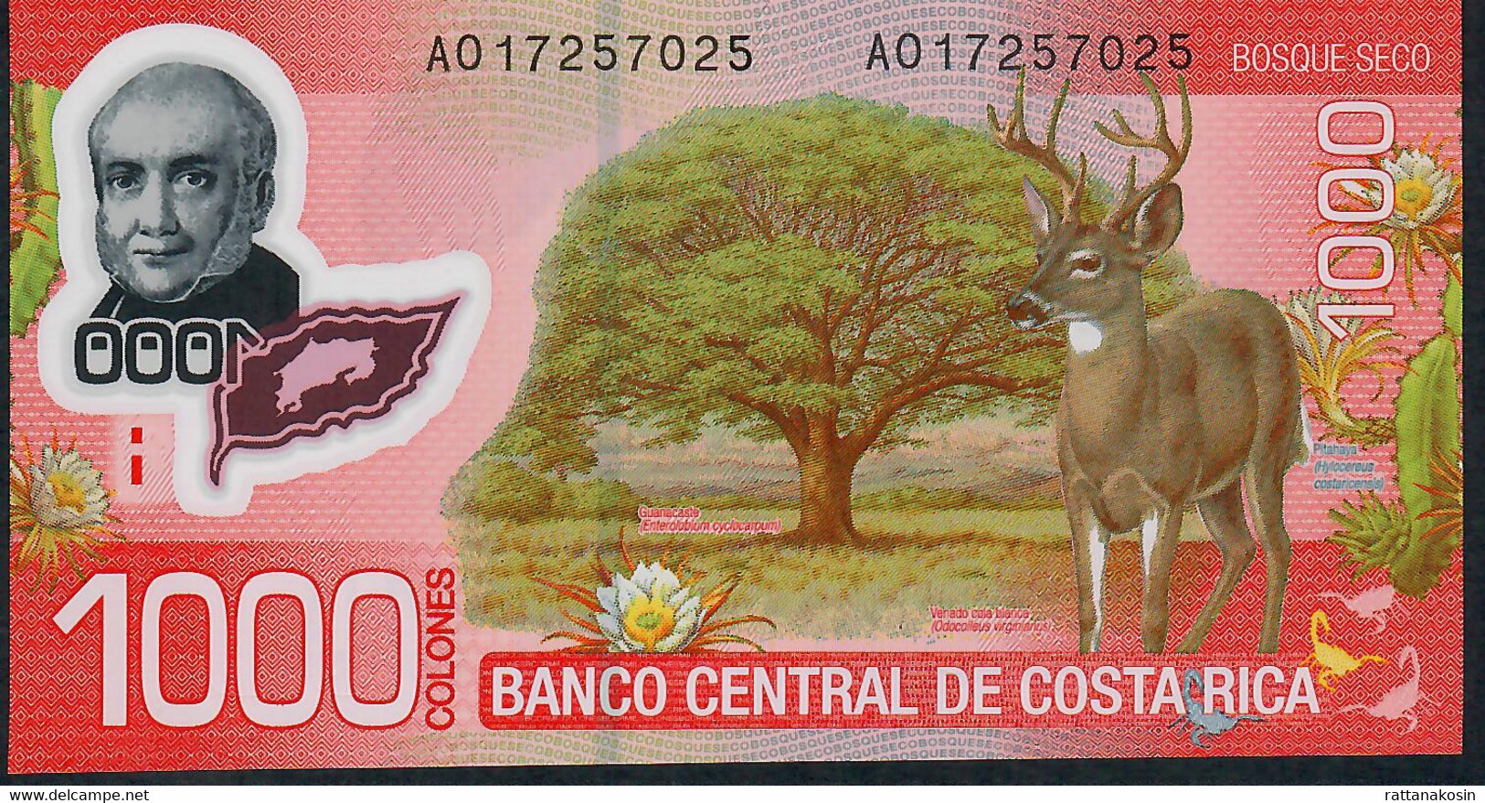 COSTA RICA  P274  1000 COLONES  DATED 2009 Issued 2011 #AO      UNC. - Costa Rica