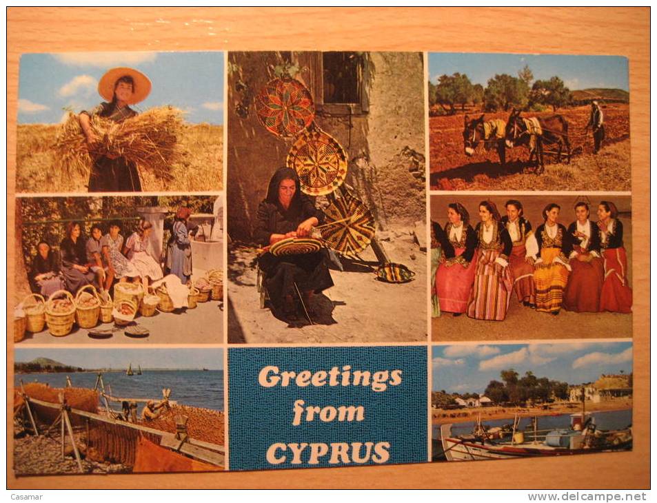 CYPRUS Chypre To St Wendel Germany Burro Burros Asno Asnos Ass Donkey Donkeys Ane Anes Cul Greetings Post Card - Burros Y Asnos