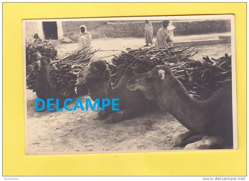 CPA - OULED DJELLAL - Chameaux Chargés De Bois Sur Le Marché - Autres & Non Classés