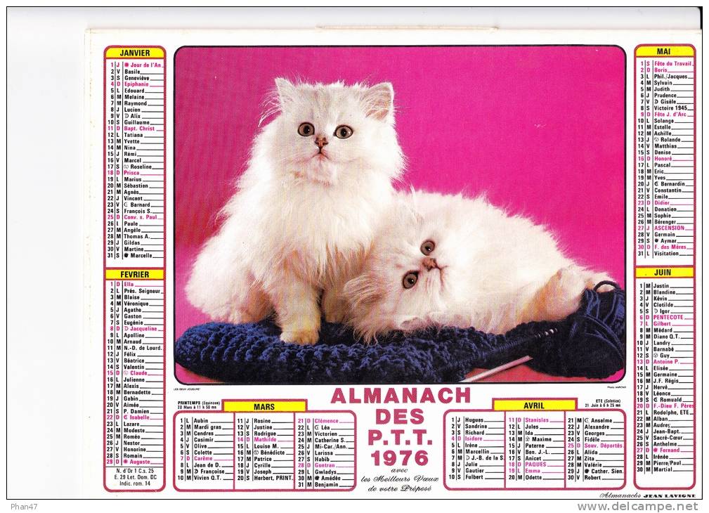 Almanach Des PTT 1976  "chats / Chaton, Chien Labrador" Panier, Laine JEAN LAVIGNE - Grand Format : 1971-80