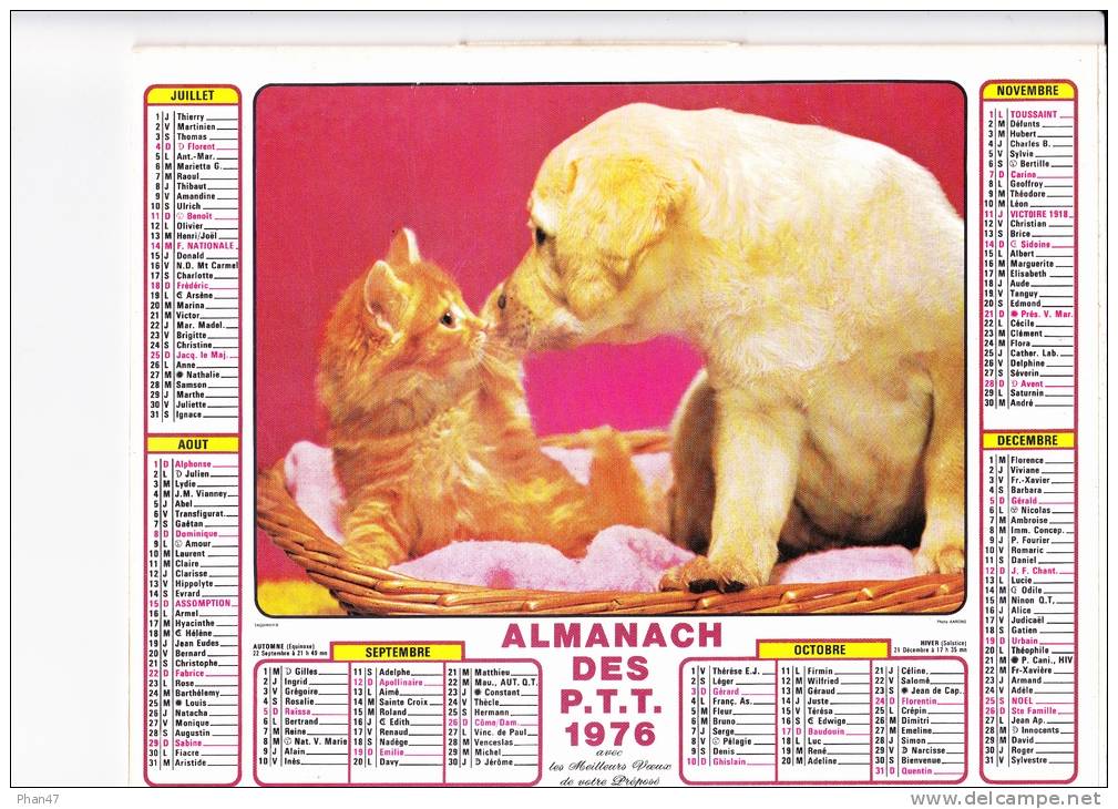 Almanach Des PTT 1976  "chats / Chaton, Chien Labrador" Panier, Laine JEAN LAVIGNE - Grand Format : 1971-80