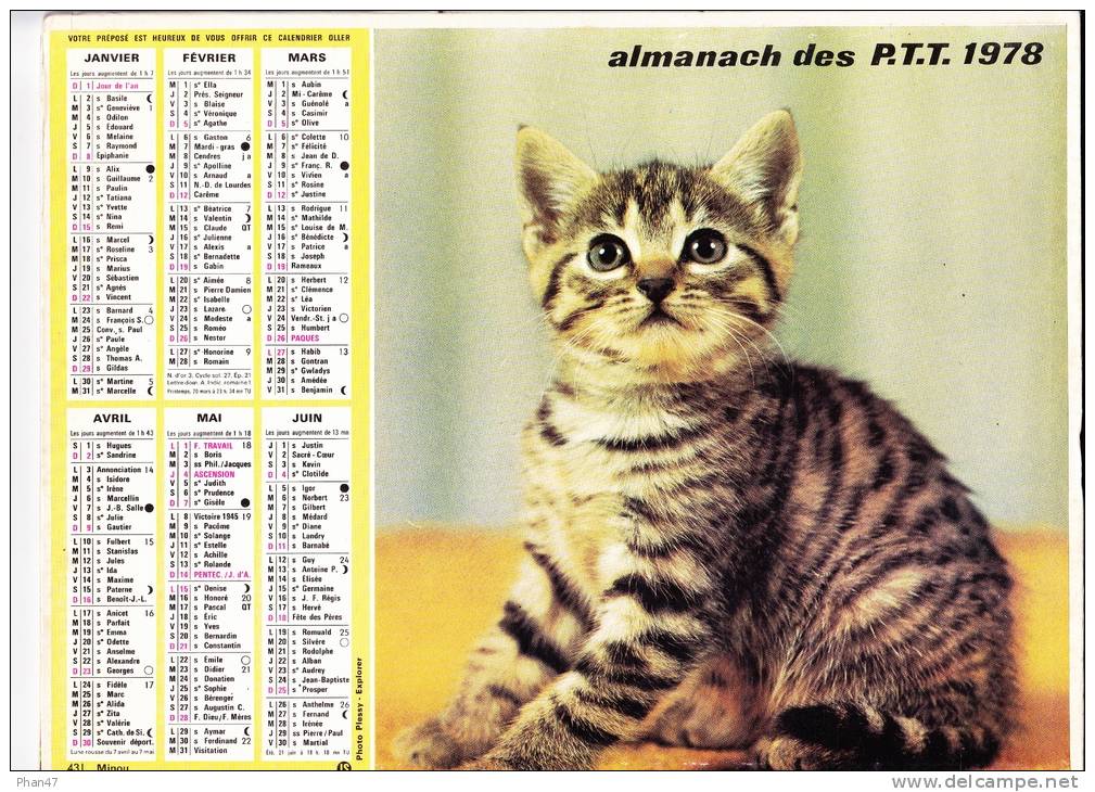 Almanach Des PTT 1978  "minou / Rouge-gorge" Chat, Oiseau OLLER - Grossformat : 1971-80