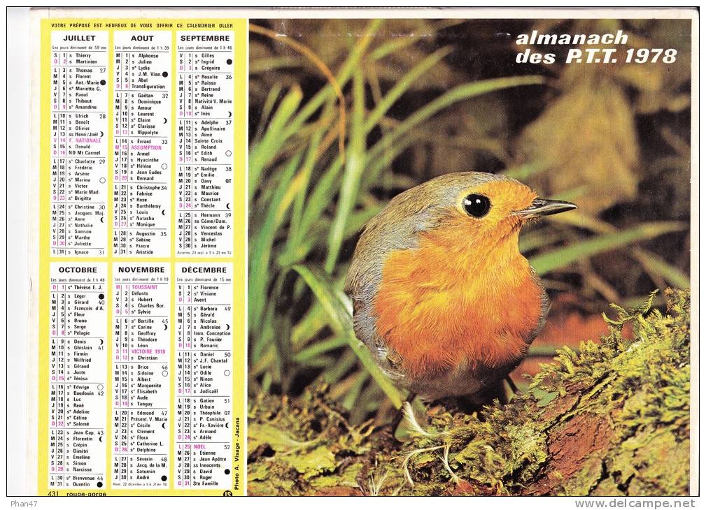 Almanach Des PTT 1978  "minou / Rouge-gorge" Chat, Oiseau OLLER - Formato Grande : 1971-80