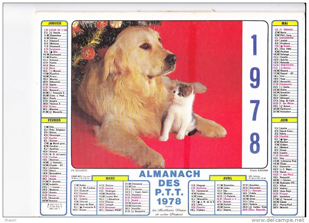 Almanach Des PTT 1978  "golden Retriwer Et Châton / Petite Fille Et Lapins" Chien, Chat, Panier JEAN LAVIGNE - Formato Grande : 1971-80