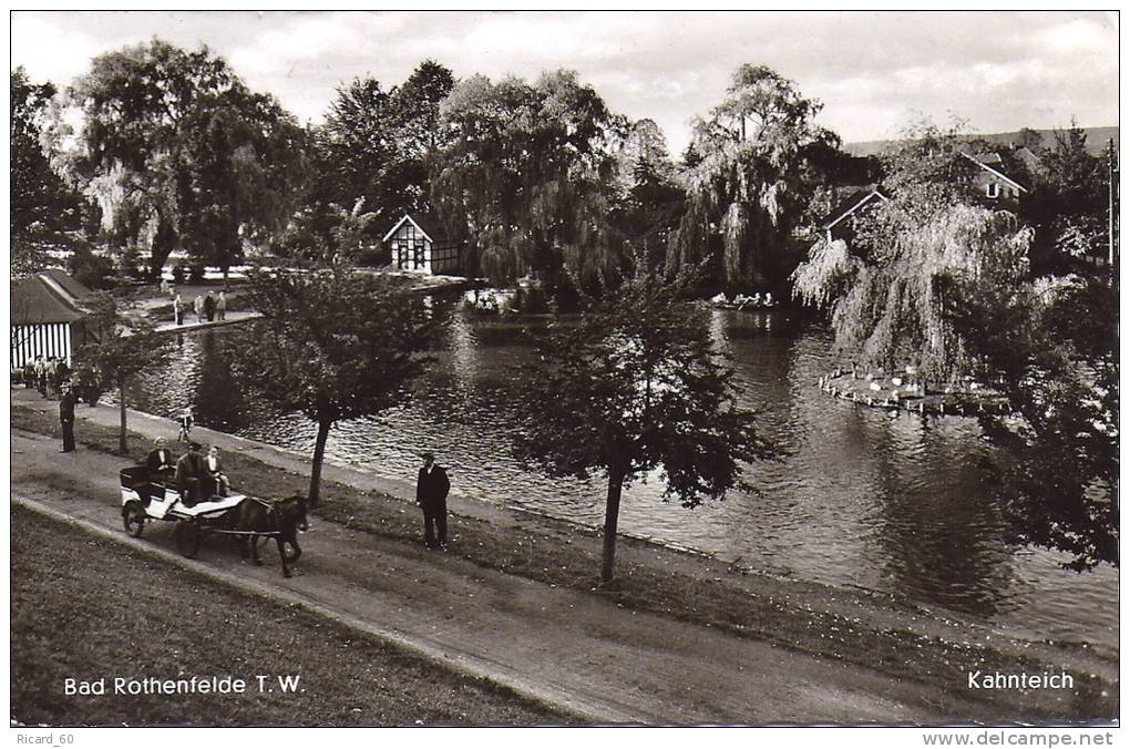 Cpsm  Bad Rothenfelde,l'étang, Attelage - Bad Rothenfelde