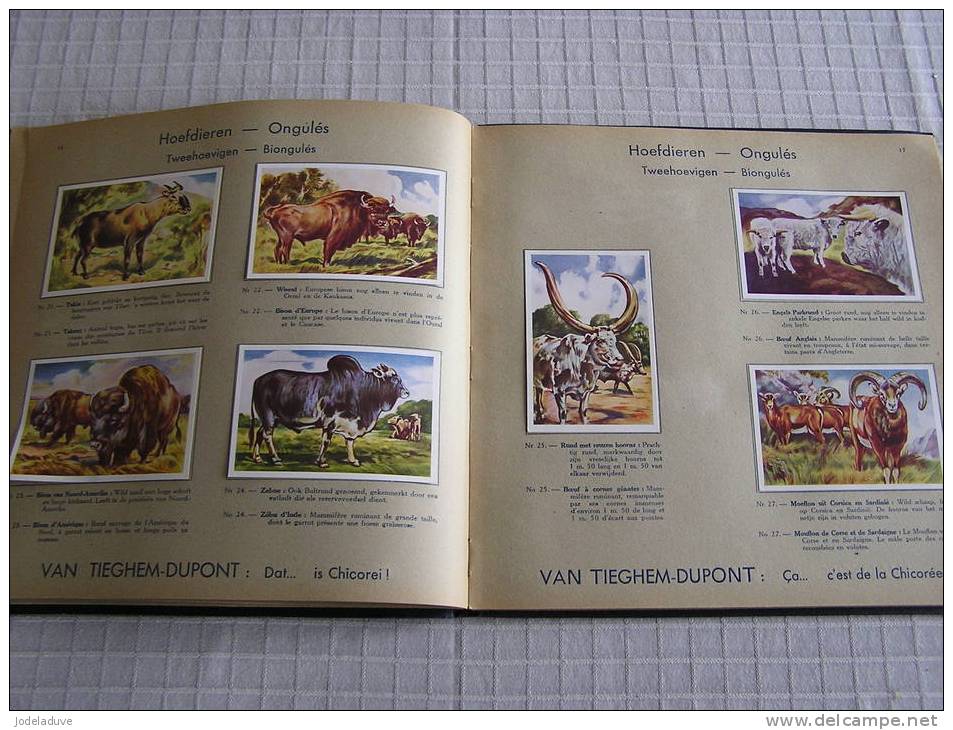 ALBUM Chicorée Chicorei VAN TIEGHEM DUPONT Merveilles du monde animal 1 De wonderen der dierenwereld COMPLET 100 chromos