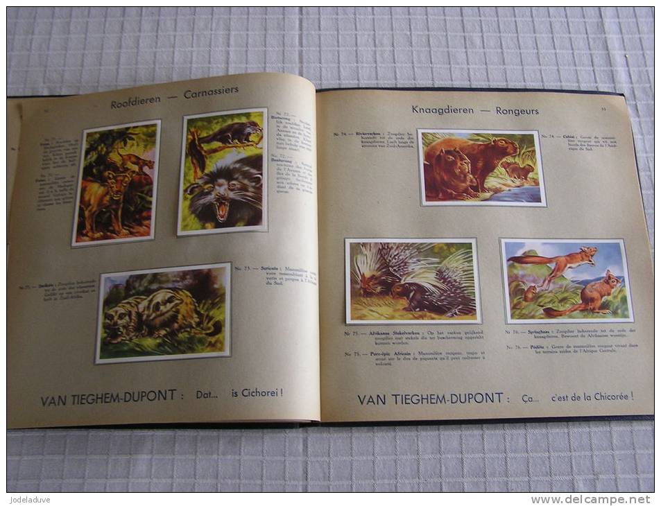 ALBUM Chicorée Chicorei VAN TIEGHEM DUPONT Merveilles du monde animal 1 De wonderen der dierenwereld COMPLET 100 chromos