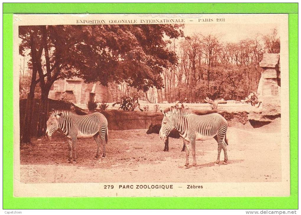 ZOO DE PARIS / ZEBRES / 1931 / Carte Vierge - Zebras