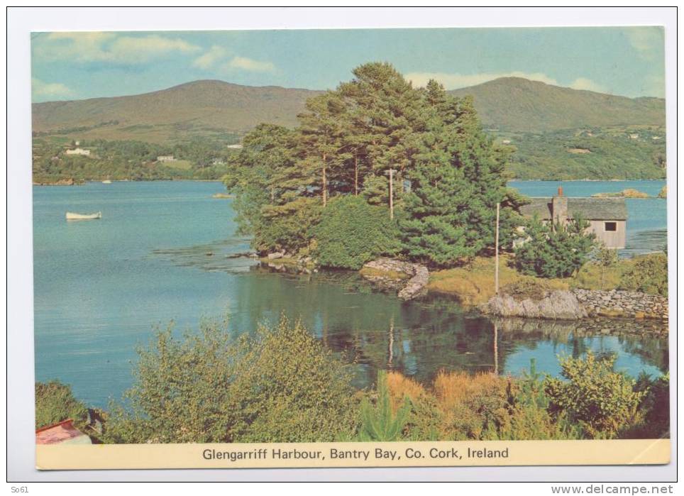 1454.  Glengarriff Harbour, Bantry Bay, Co. Cork, Ireland - Cork