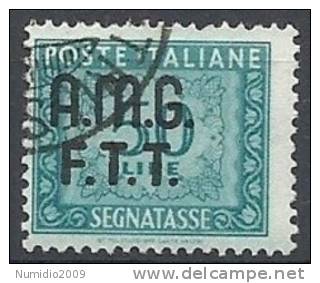 1947-49 TRIESTE A USATO SEGNATASSE 50 LIRE - RR10516 - Portomarken