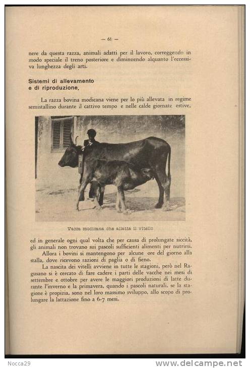 OPUSCOLO ILLUSTRATO 1931 GODRANO(PALERMO) - ISTITUTO SPERIMENTALE ZOOTECNICO - Geneeskunde, Biologie, Chemie