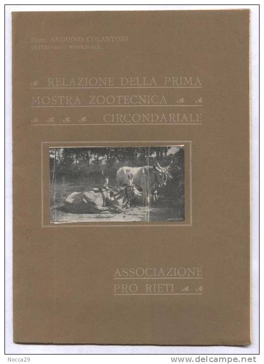 OPUSCOLO  1910 RIETI -  RELAZIONE DELLA 1^ MOSTRA ZOOTECNICA - Geneeskunde, Biologie, Chemie