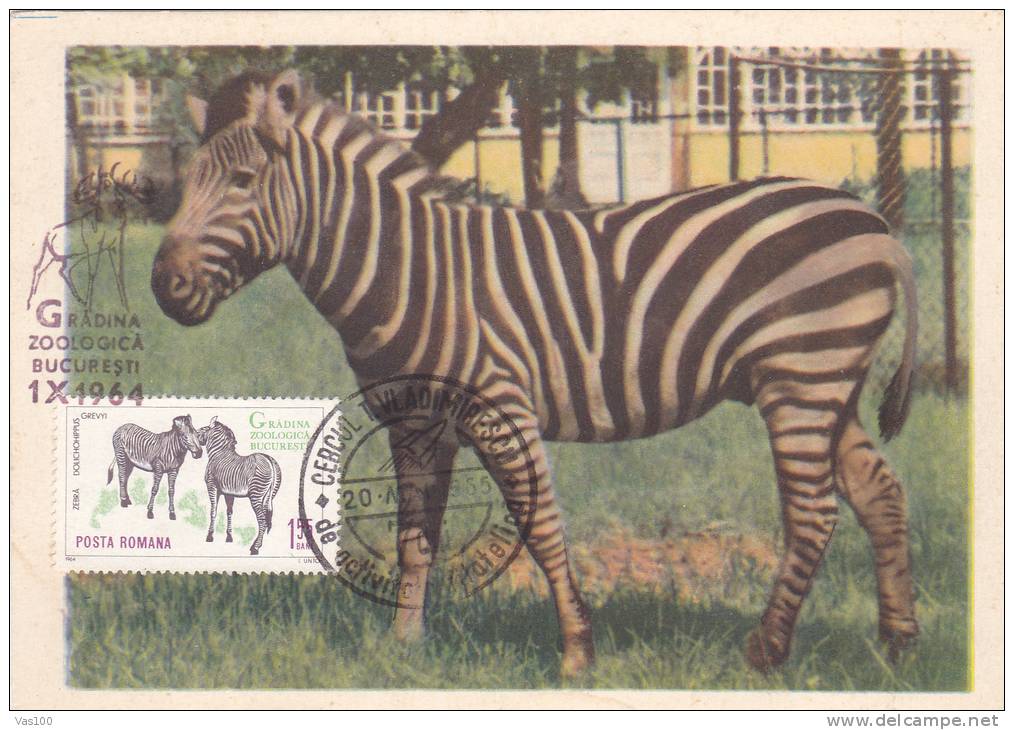 ZEBRA, 1965, CM. MAXI CARD, CARTES MAXIMUM, ROMANIA - Game