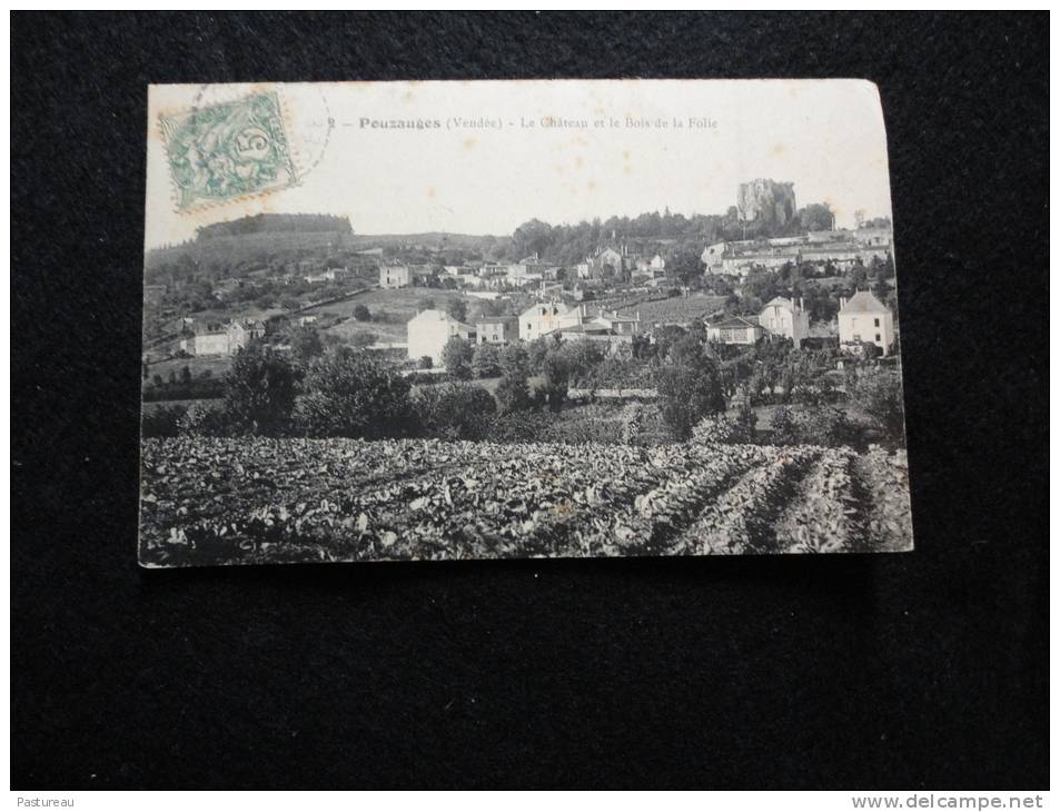 Pouzauges :Le Château Et Le Bois De La Folie . Le Village . - Pouzauges