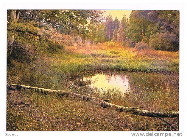 RUSSIA EX URSS - 1986 PAESAGGIO AUTUNNALE (AUTUMN)  RIF. 657  - UNUSED - Russia