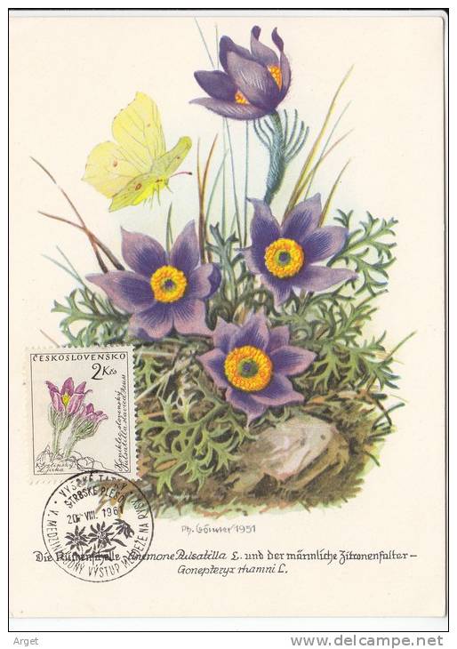 Carte-Maximum TCHECOSLOVAQUIE N° Yvert 1120 (ANEMONE) Obl Sp Ill 1961 - Covers & Documents