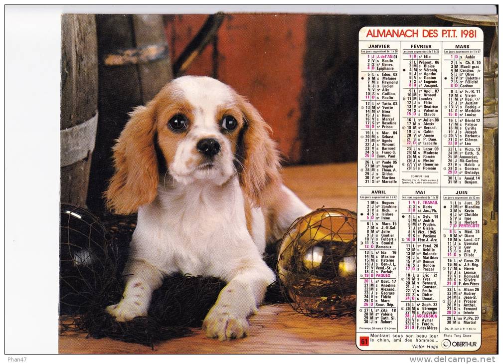 Almanach Des PTT 1981  "chiot / 2 Chiots" Graveur Sur Vitraux, Pêcheur Recousant Son Filet, Horloger, Potier OBERTHUR - Groot Formaat: 1981-90